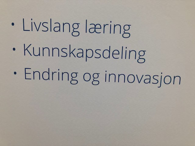 Blå tekst på hvit bakgrunn som sier Livslang læring, Kunnskapsdeling og Endring og Innovasjon